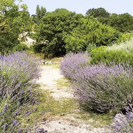 Trullo Dimora Podere Papilio נוצ'י