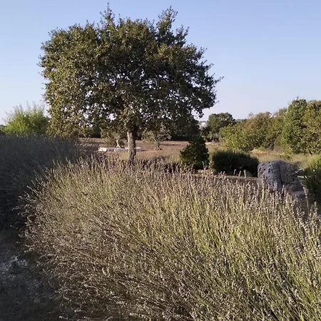 Trullo Dimora Podere Papilio Landhuis *
