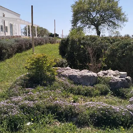בית כפרי Trullo Dimora Podere Papilio *