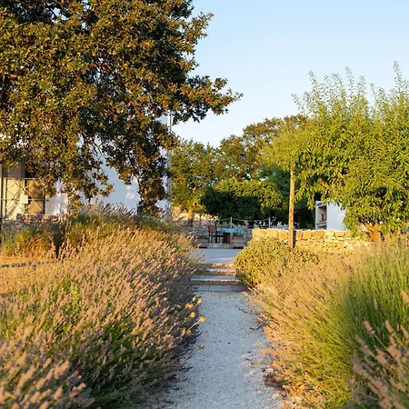 Trullo Dimora Podere Papilio