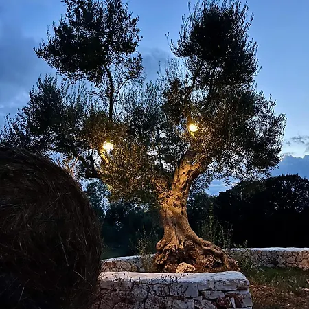 Country house Trullo Dimora Podere Papilio