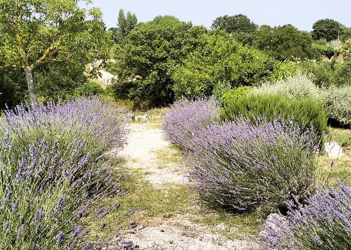 Trullo Dimora Podere Papilio Noci