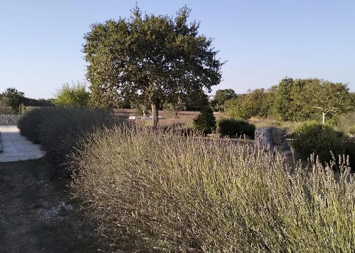 Trullo Dimora Podere Papilio Kır Evi *